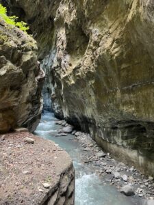 IMG_3939